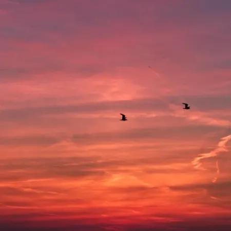 شقة Perfect Holiday, Moment At Sea إغموند آن زي