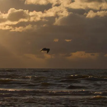 Perfect Holiday, Moment At Sea * Egmond aan Zee