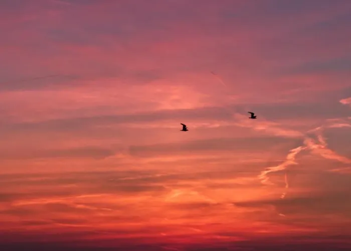 דירה Perfect Holiday, Moment At Sea אגמונד אן זי