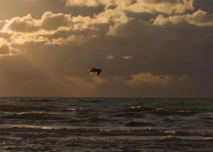 Perfect Holiday, Moment At Sea * Egmond aan Zee