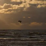 Perfect Holiday, Moment At Sea * Egmond aan Zee